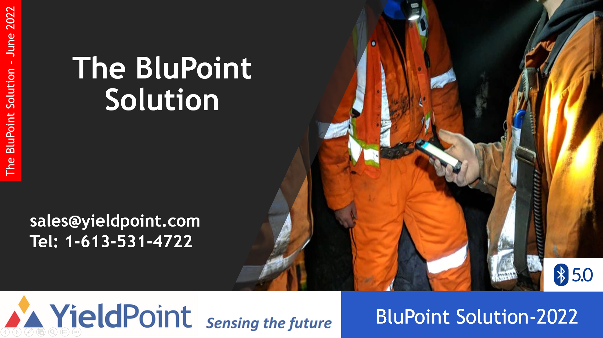 BluPoint Solution